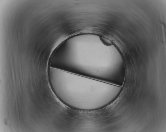 X0000097510902200802220902