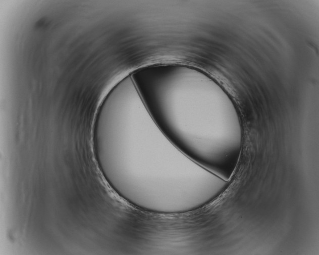 X0000097510904200802220902
