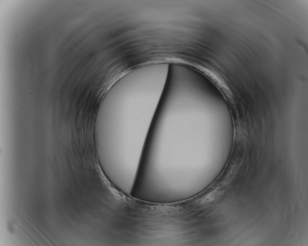 X0000097510905200802220902