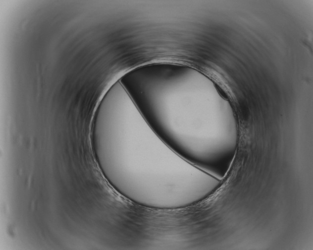 X0000097510908200802220902