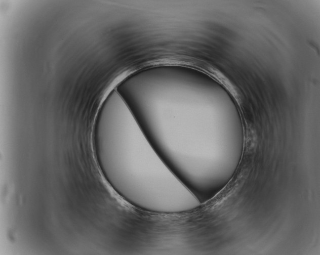 X0000097510909200802220902