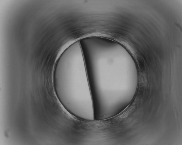 X0000097510910200802220902