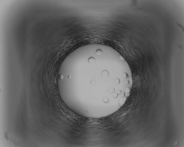 X0000097510913200802220901