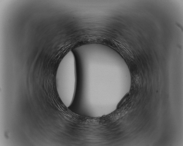 X0000097510914200802220901