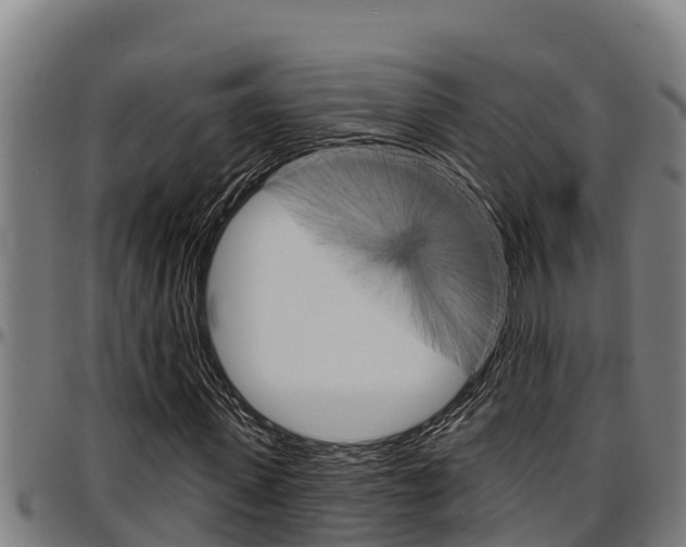 X0000097510915200802220901