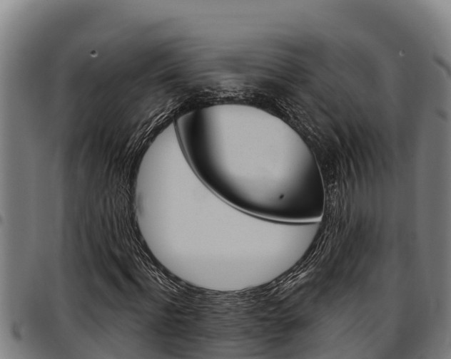 X0000097510916200802220901