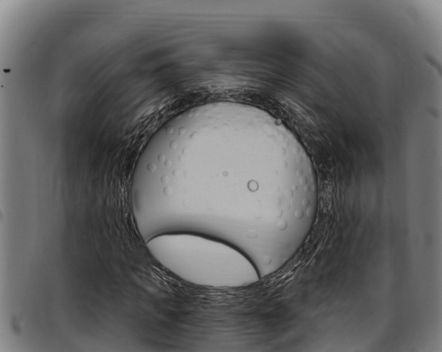 X0000097510917200802220901