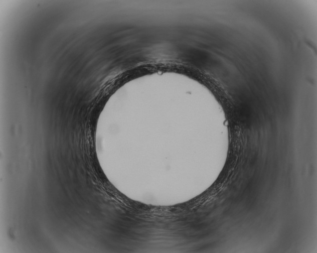 X0000097510918200802220901