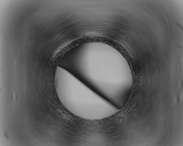 X0000097510919200802220901