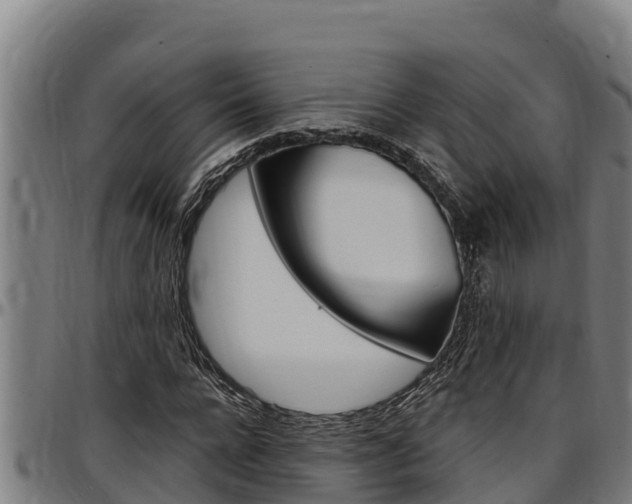 X0000097510920200802220901