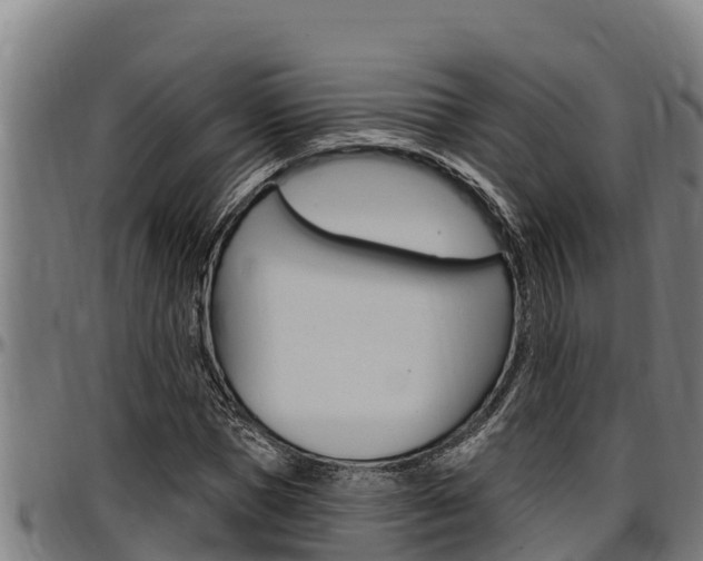 X0000097510921200802220901