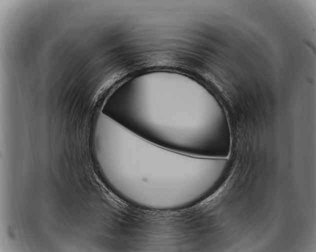 X0000097510922200802220901