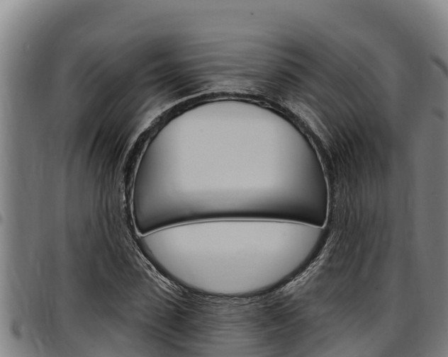 X0000097510923200802220901
