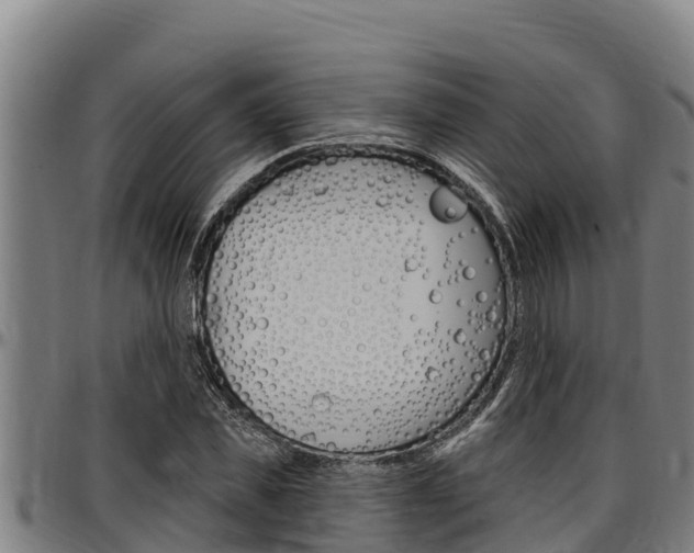 X0000097510925200802220901