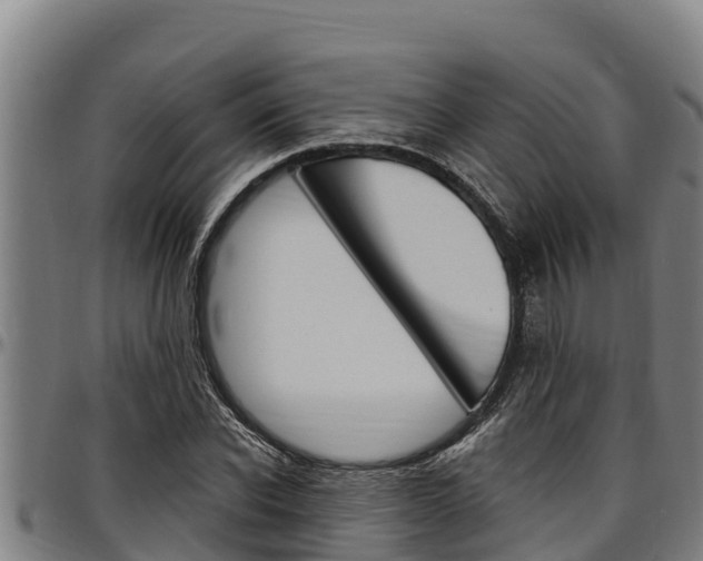 X0000097510926200802220901