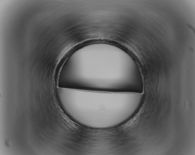 X0000097510927200802220901