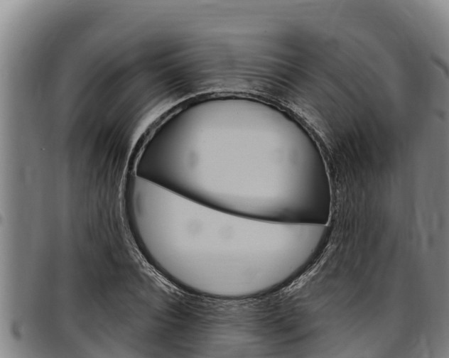 X0000097510928200802220901