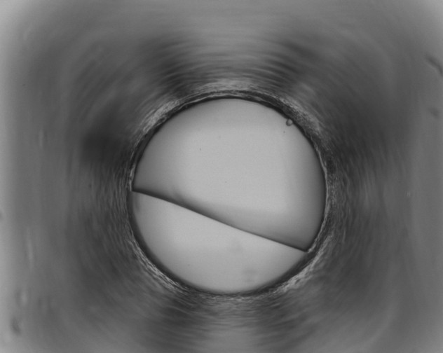 X0000097510929200802220901