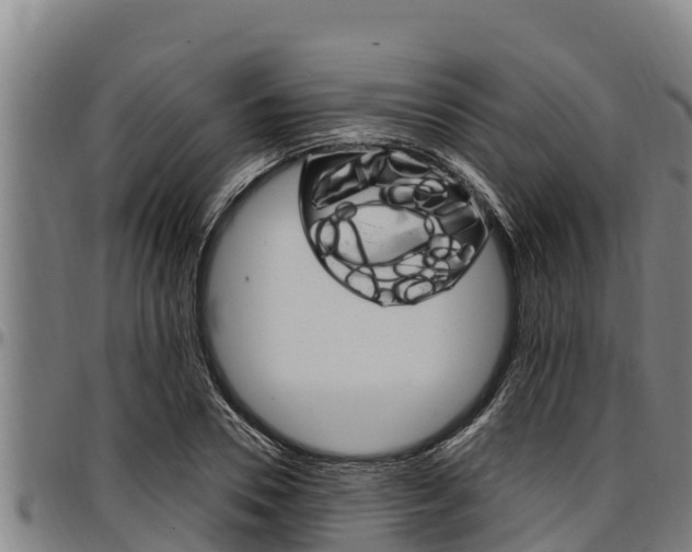 X0000097510930200802220901