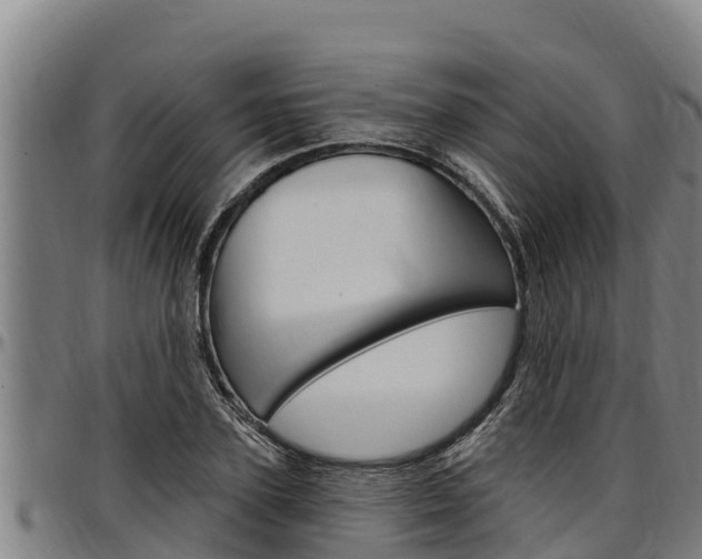X0000097510931200802220901