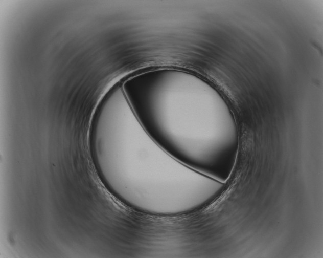 X0000097510932200802220901
