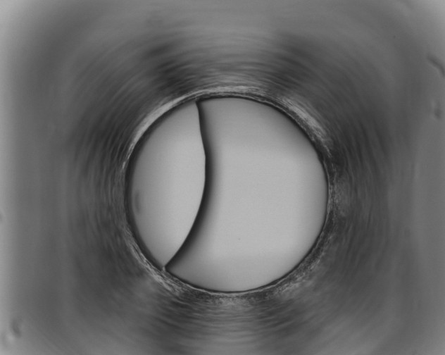 X0000097510933200802220901