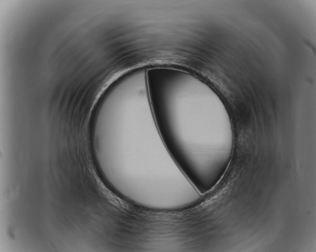 X0000097510934200802220901