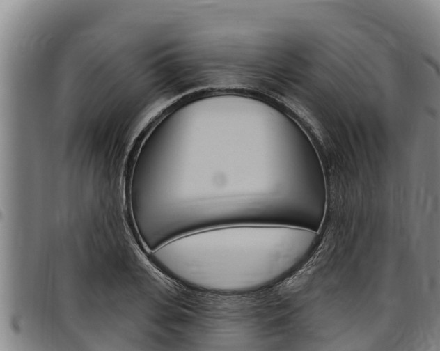 X0000097510935200802220901