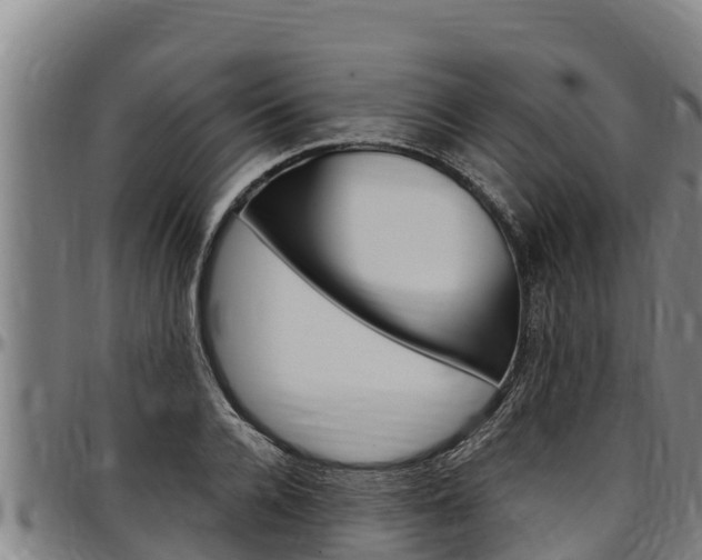 X0000097510936200802220901