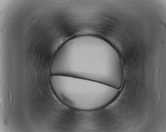 X0000097510937200802220901
