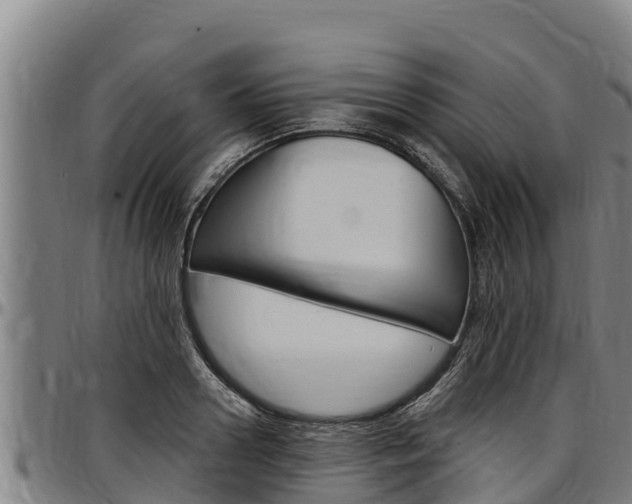 X0000097510938200802220902