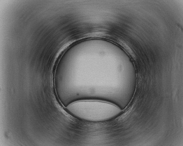 X0000097510939200802220902