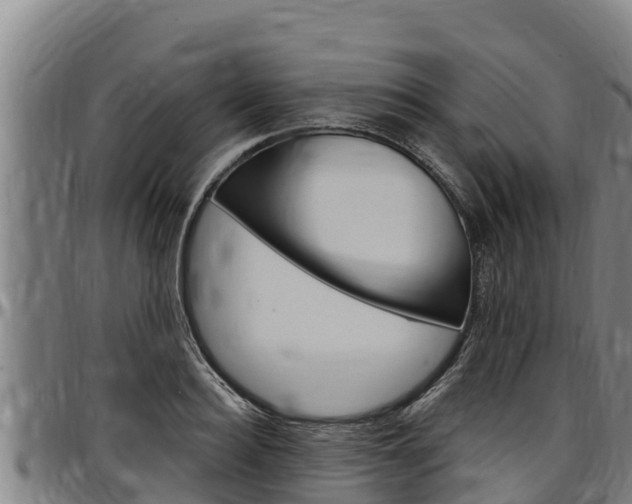X0000097510940200802220902