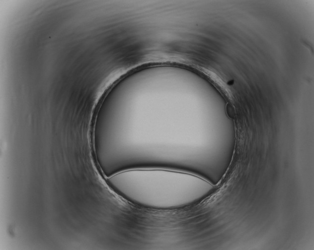 X0000097510943200802220902