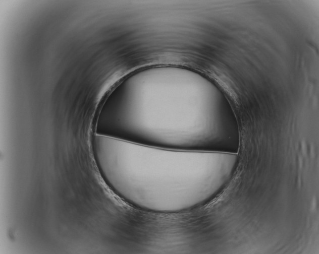 X0000097510944200802220902