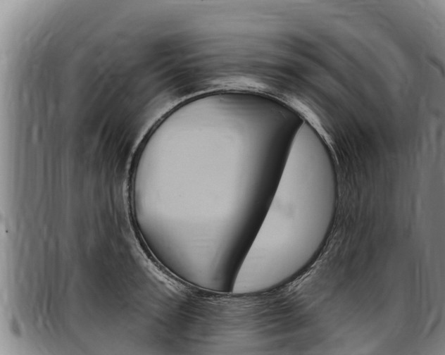 X0000097510947200802220902