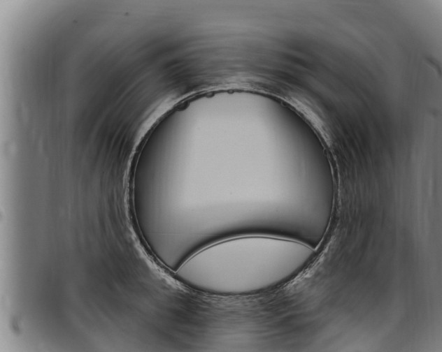X0000097510949200802220902