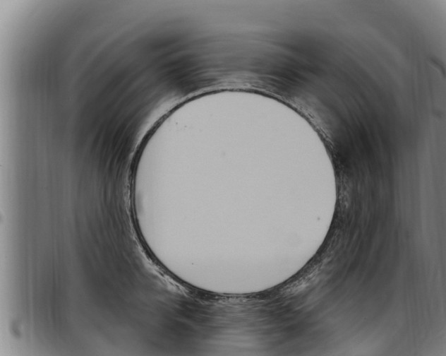 X0000097510950200802220902