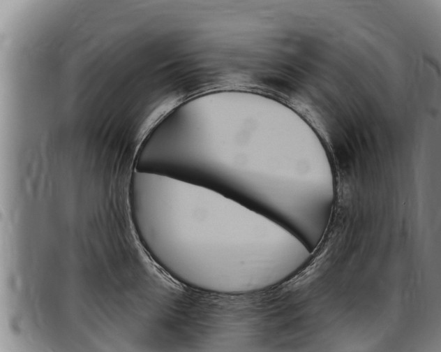 X0000097510954200802220902