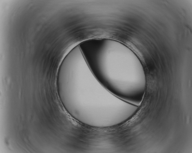 X0000097510956200802220902