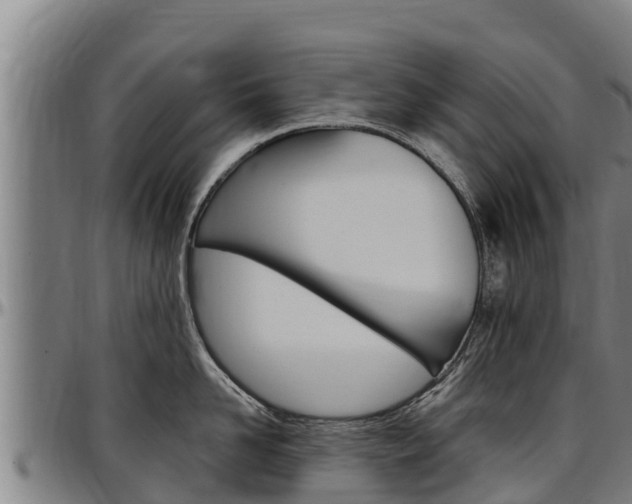 X0000097510958200802220902