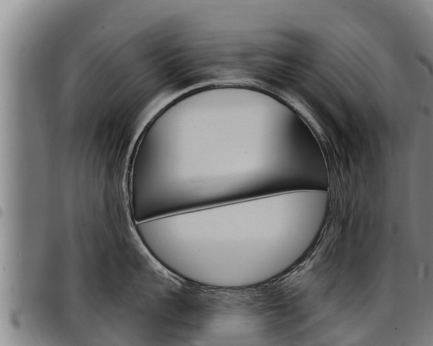 X0000097510959200802220902