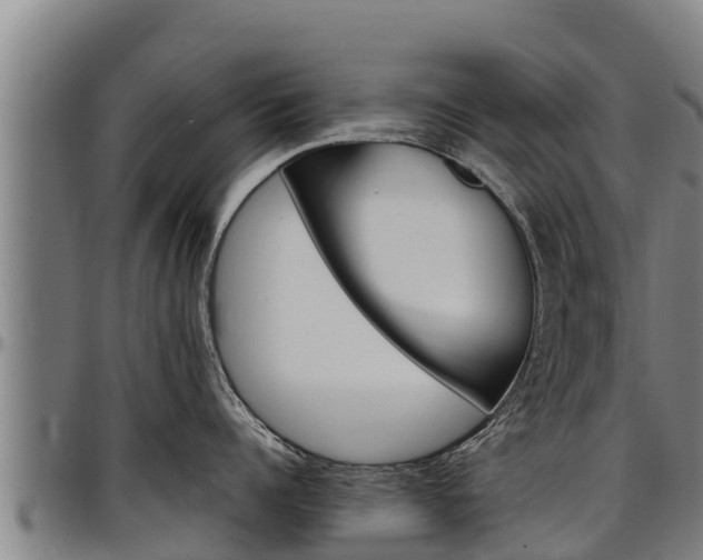 X0000097510960200802220902
