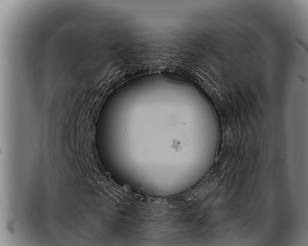 X0000097510961200802220901