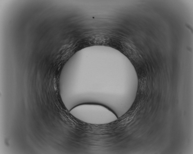 X0000097510962200802220901