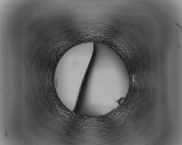 X0000097510963200802220901