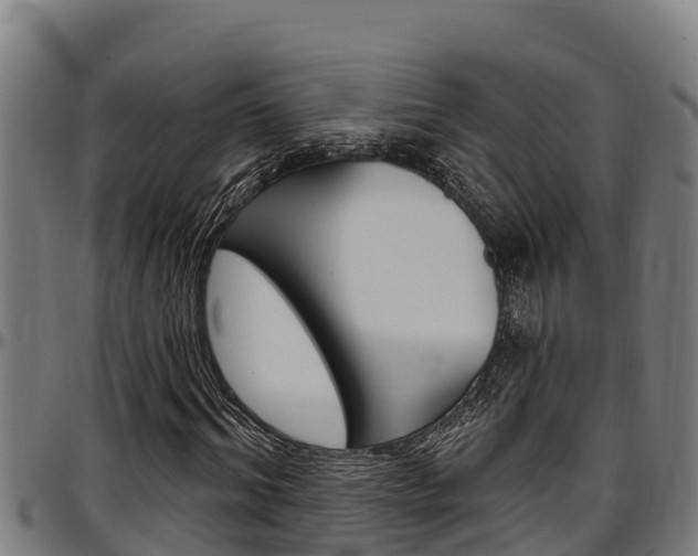X0000097510964200802220901