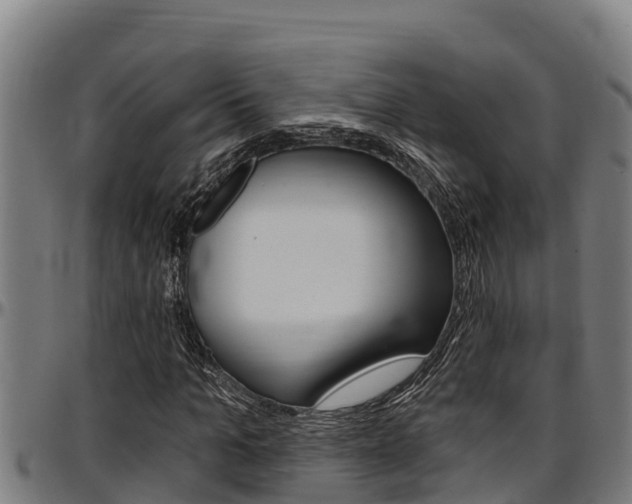 X0000097510965200802220901