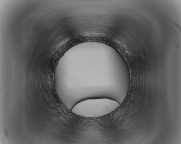 X0000097510966200802220901