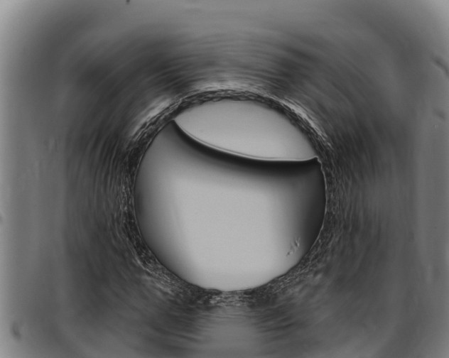 X0000097510967200802220901